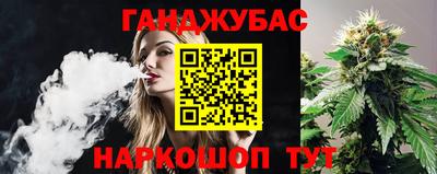 индика Партизанск