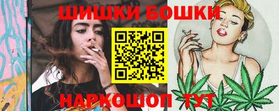 индика Партизанск