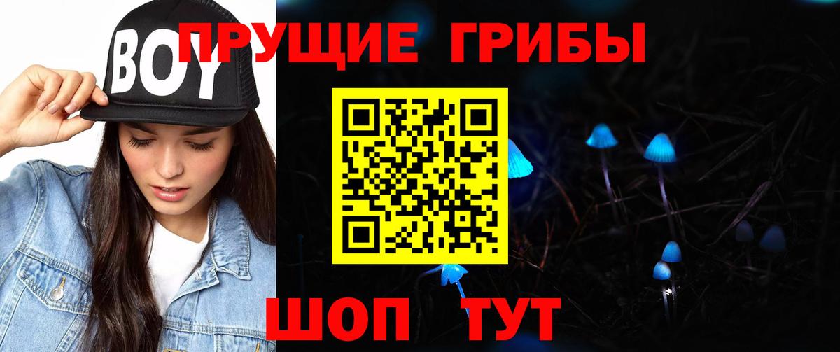 Галлюциногенные грибы Cubensis  Вход с VPN  Сафоново 